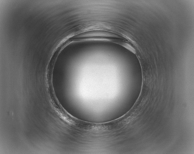 X0000073491026200608140837