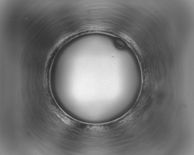 X0000073491027200608140837