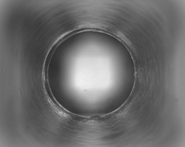 X0000073491028200608140837