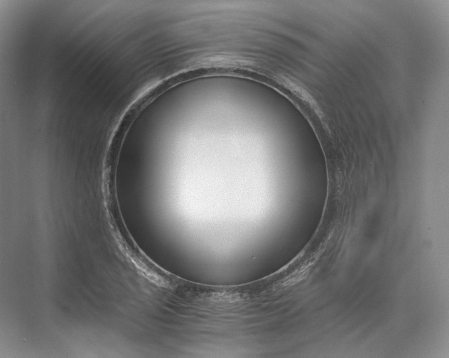 X0000073491029200608140837