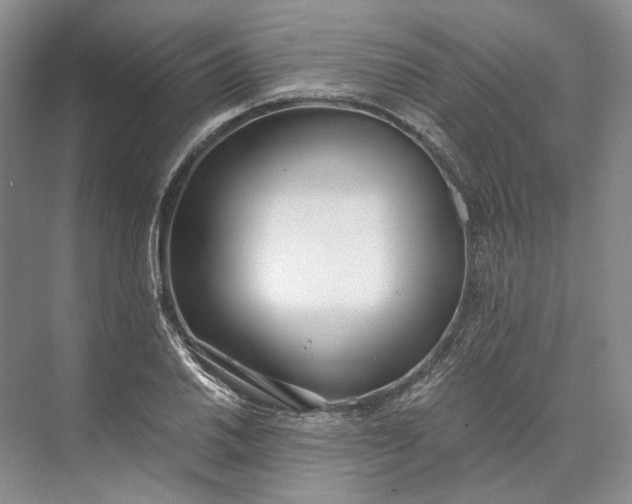 X0000073491030200608140837