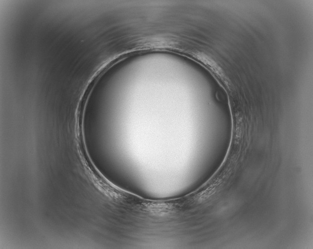 X0000073491031200608140837