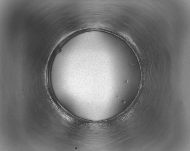 X0000073491032200608140837