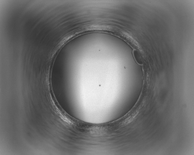 X0000073491033200608140837