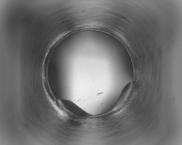 X0000073491034200608140837