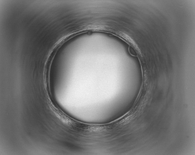 X0000073491035200608140837