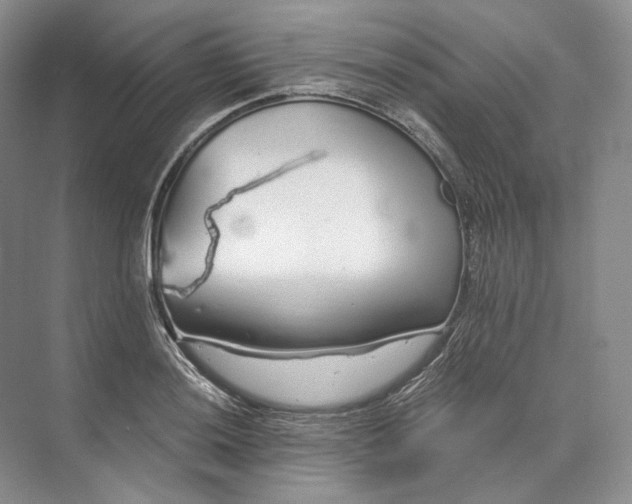 X0000073491036200608140837