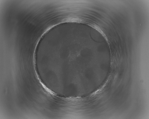 X0000073491037200608140837