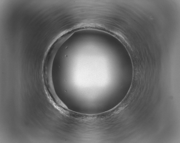 X0000073491038200608140837