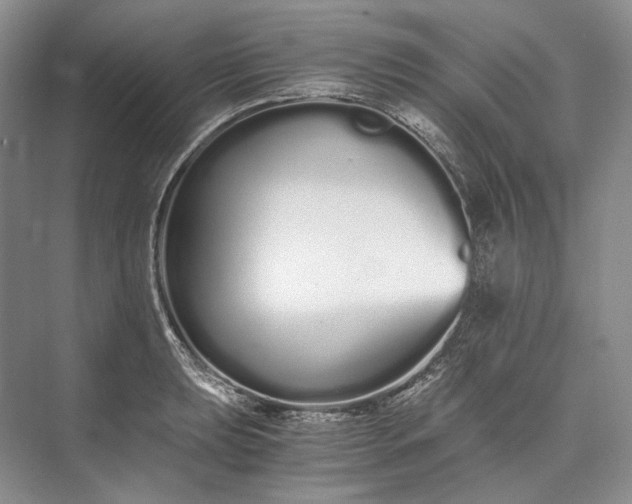 X0000073491039200608140837