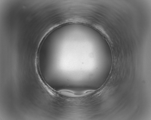 X0000073491040200608140837