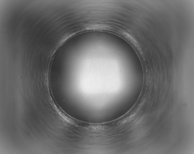 X0000073491041200608140837