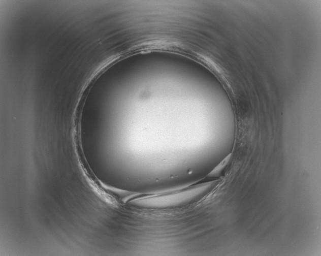 X0000073491042200608140837