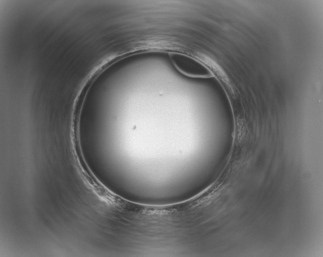 X0000073491043200608140837