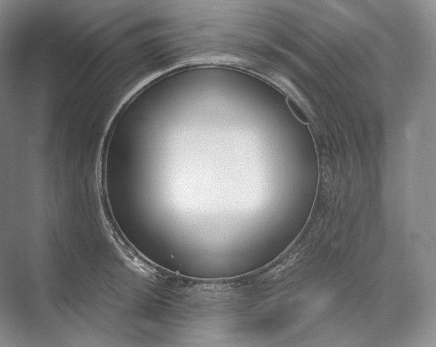 X0000073491044200608140837