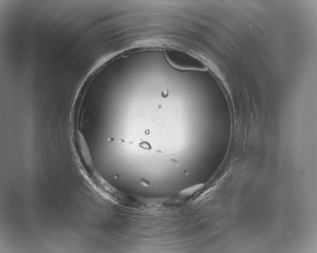 X0000073491045200608140837