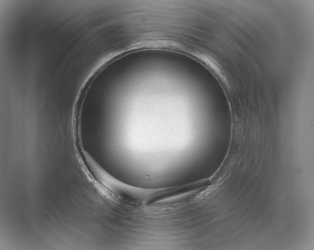 X0000073491046200608140837