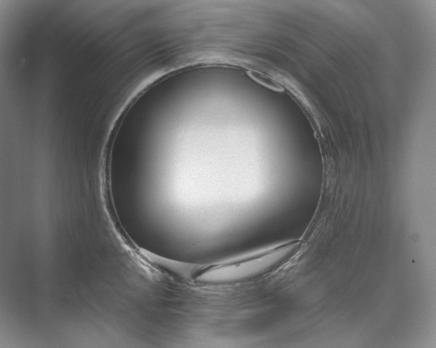 X0000073491048200608140837