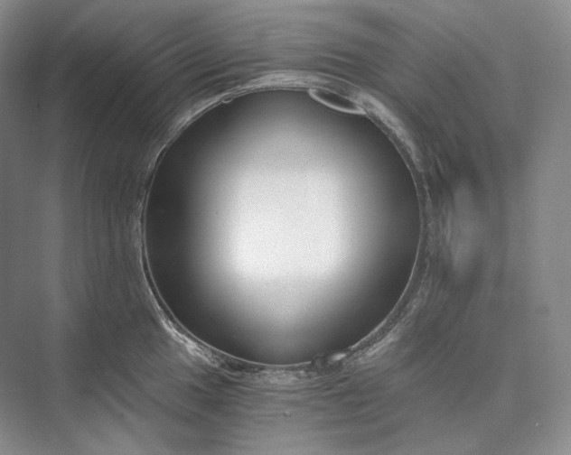 X0000073491049200608140837