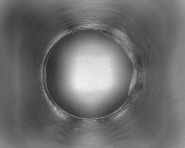 X0000073491050200608140837