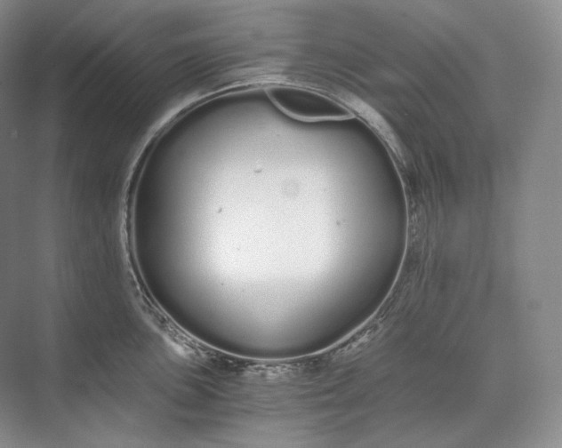 X0000073491051200608140837