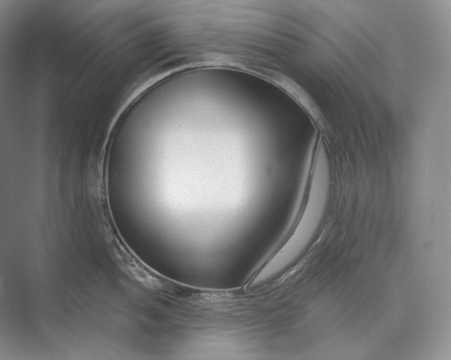 X0000073491052200608140837