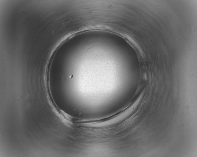 X0000073491054200608140837