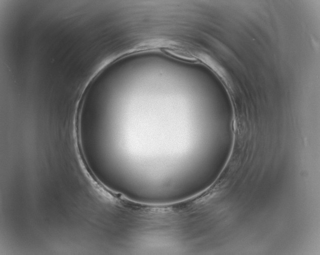 X0000073491055200608140837