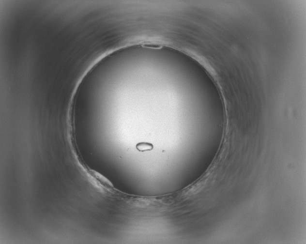 X0000073491056200608140837