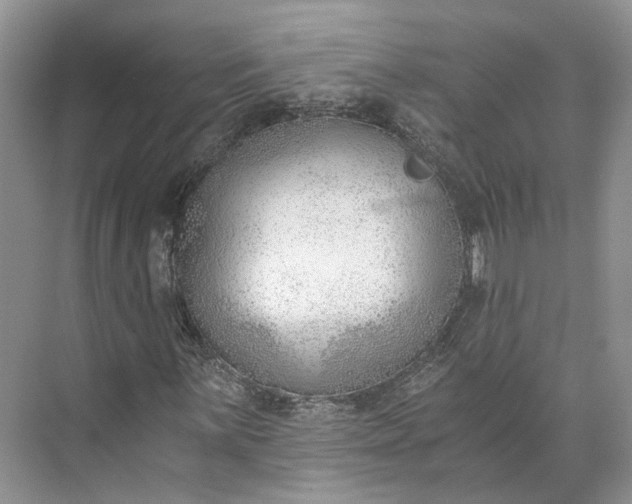 X0000073491059200608140836