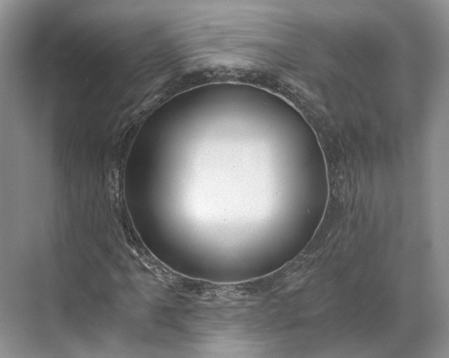 X0000073491061200608140836