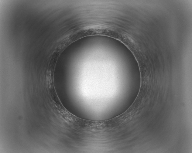 X0000073491062200608140836