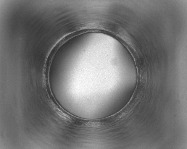 X0000073491068200608140836