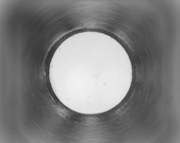 X0000073491070200608140836