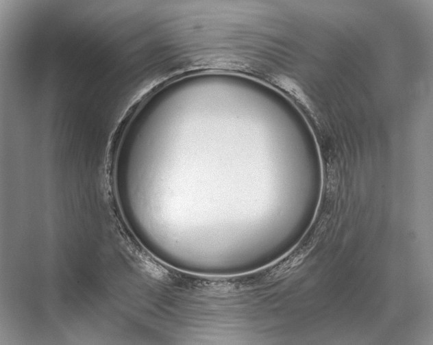 X0000073491071200608140836