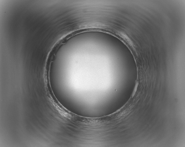 X0000073491072200608140836