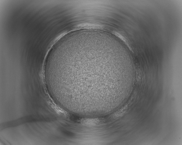 X0000073491074200608140836