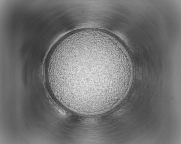 X0000073491078200608140836