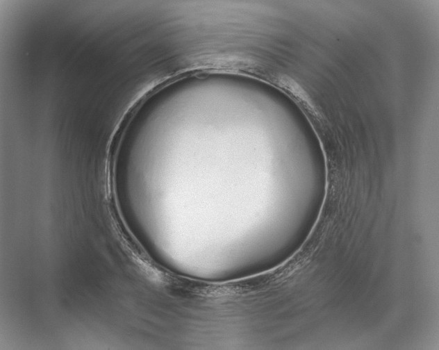 X0000073491079200608140836