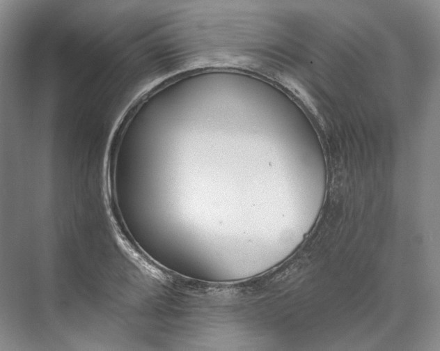 X0000073491080200608140836