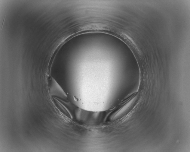 X0000073491081200608140836