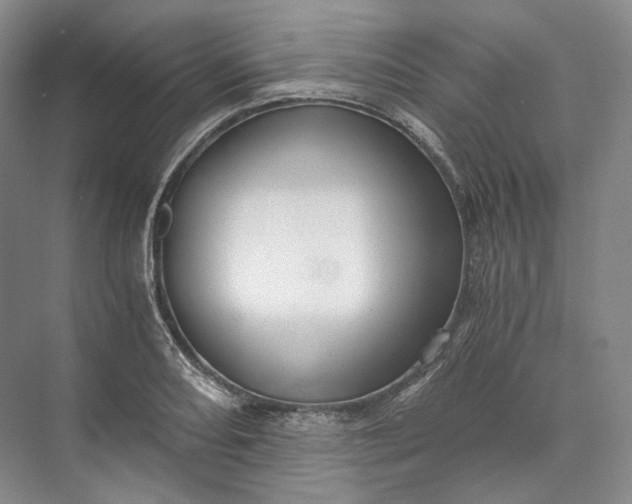 X0000073491082200608140836