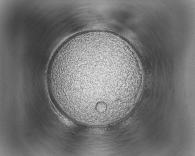 X0000073491086200608140836