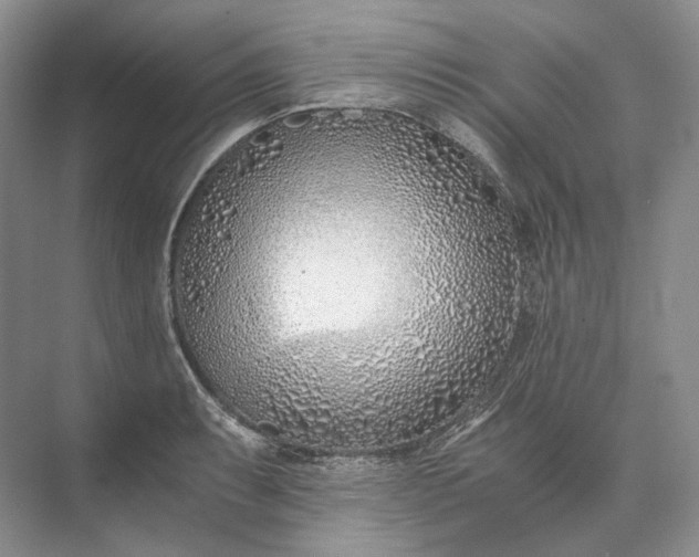 X0000073491087200608140836