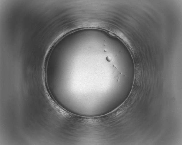 X0000073491088200608140836