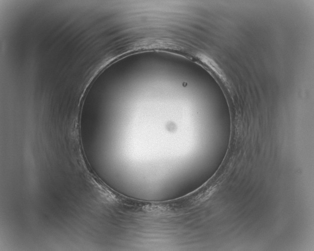 X0000073491089200608140836