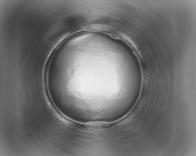 X0000073491091200608140836