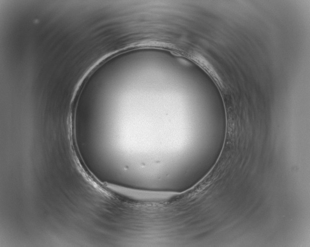 X0000073491092200608140836