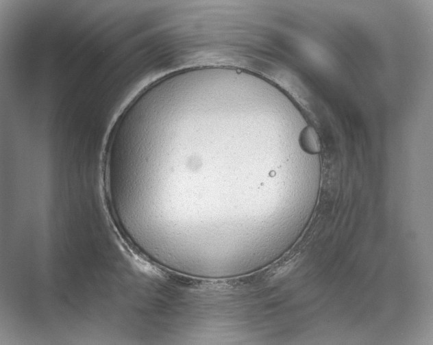 X0000073491094200608140836