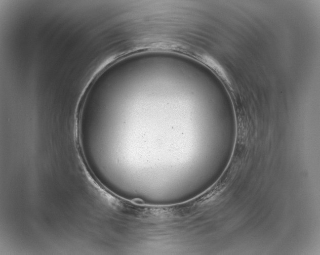 X0000073491095200608140836